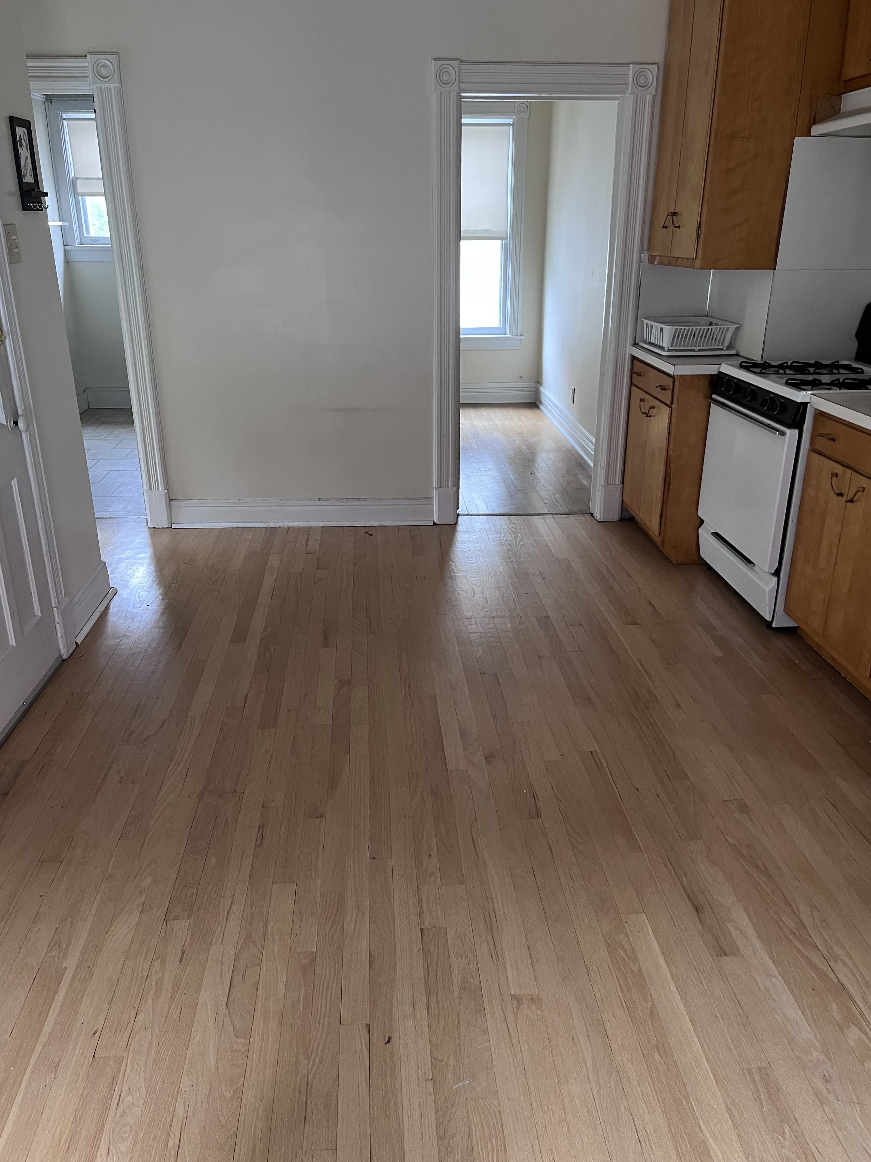 21 Dewitt St – photo 5