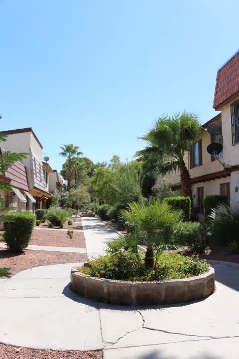 NO SHOWINGS UNTIL 12/15/25 – photo 2