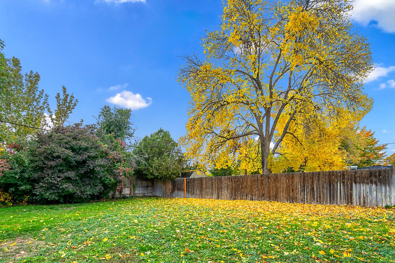 2bd/1b Boise Bench Home! – photo 3