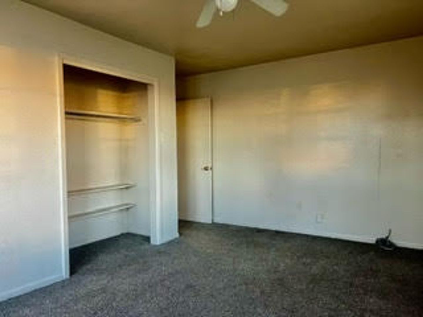 Large 3 2. Across the Street from Tarleton Stadium – photo 3