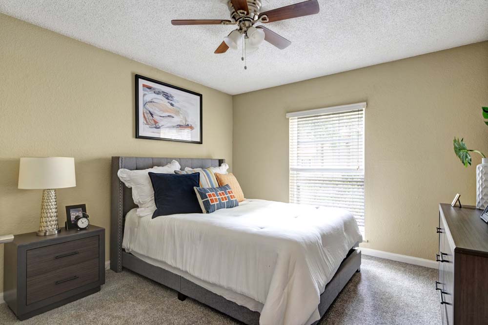 Signal Pointe – photo 5