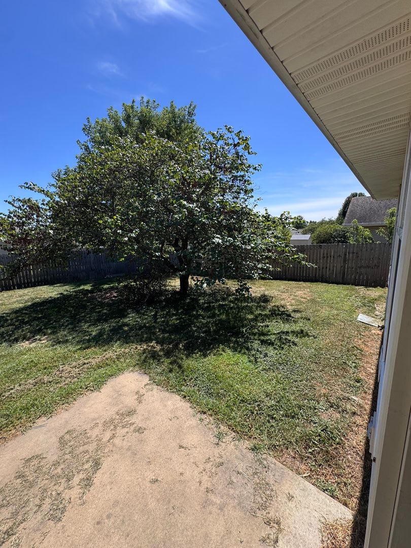 3 Bed 2 Bath 2 car Home for rent in Republic MO! – photo 2