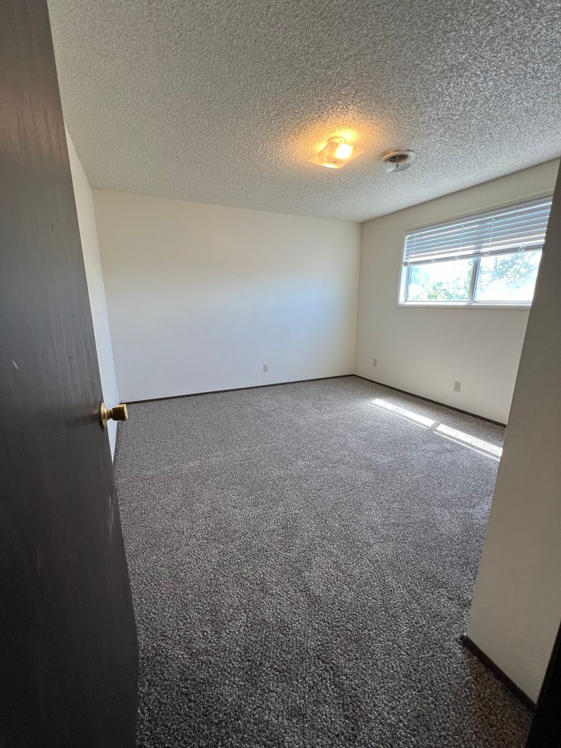 2 Bedroom 1 Bathroom Upstairs Apartment In The South Suburbs – photo 3