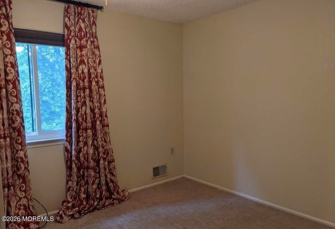 316 Burntwood Trail – photo 5