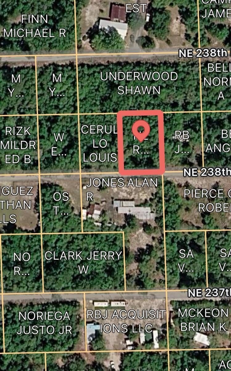 15589 Ne 238Th Street – photo 2