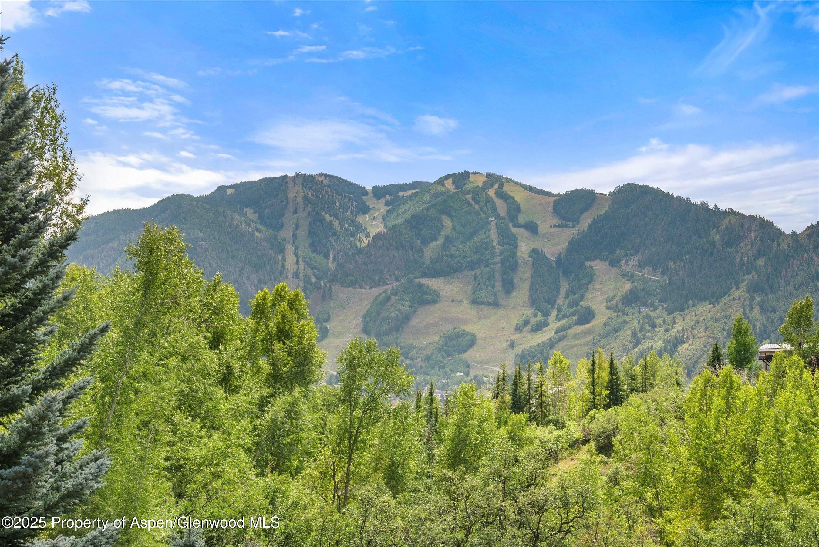 927 Red Mountain Road – photo 2