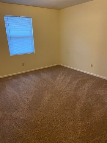 205 kirk Lane – photo 4