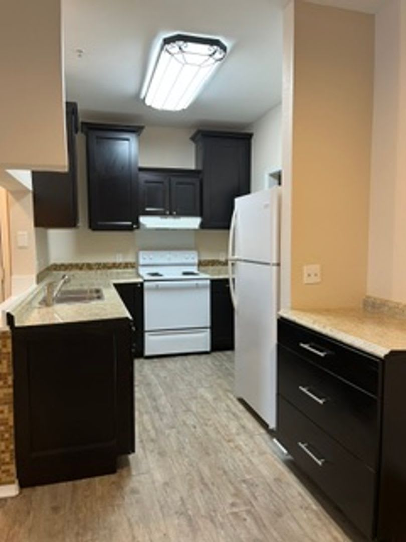 300 Off First Months Rent The Preserve At Temple Terrace – photo 3