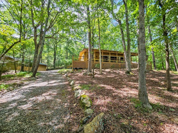 287 Owltown Farm Drive – photo 3