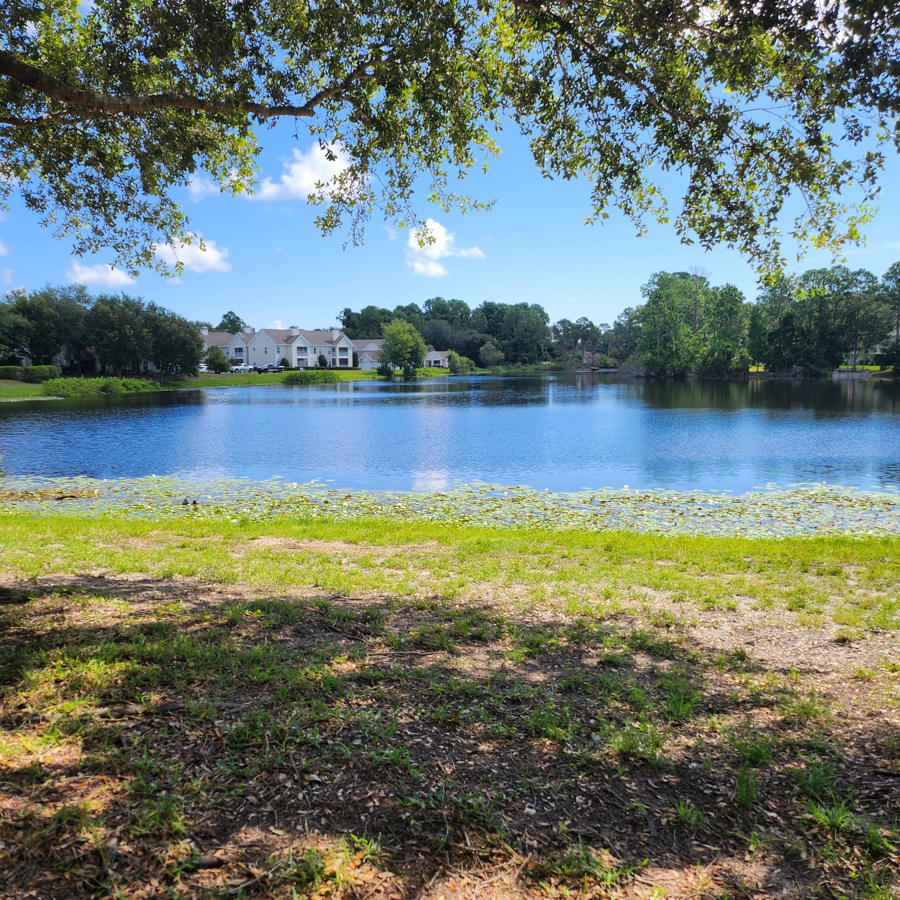 23699 Bahama Point – photo 4