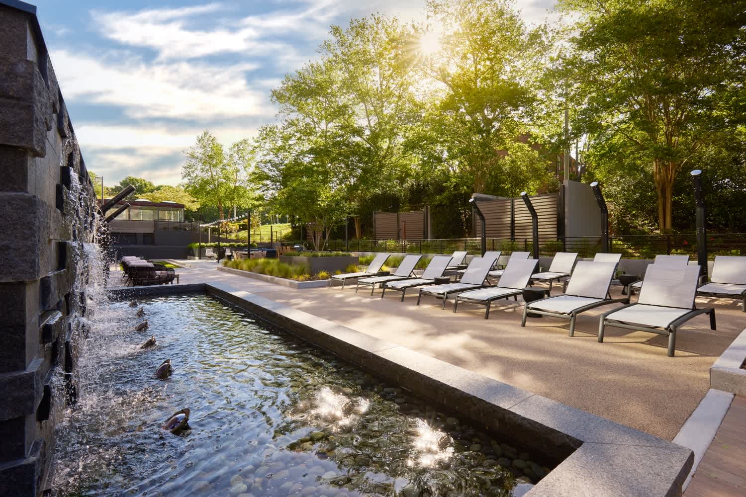 Park + Ford Apartments – photo 3