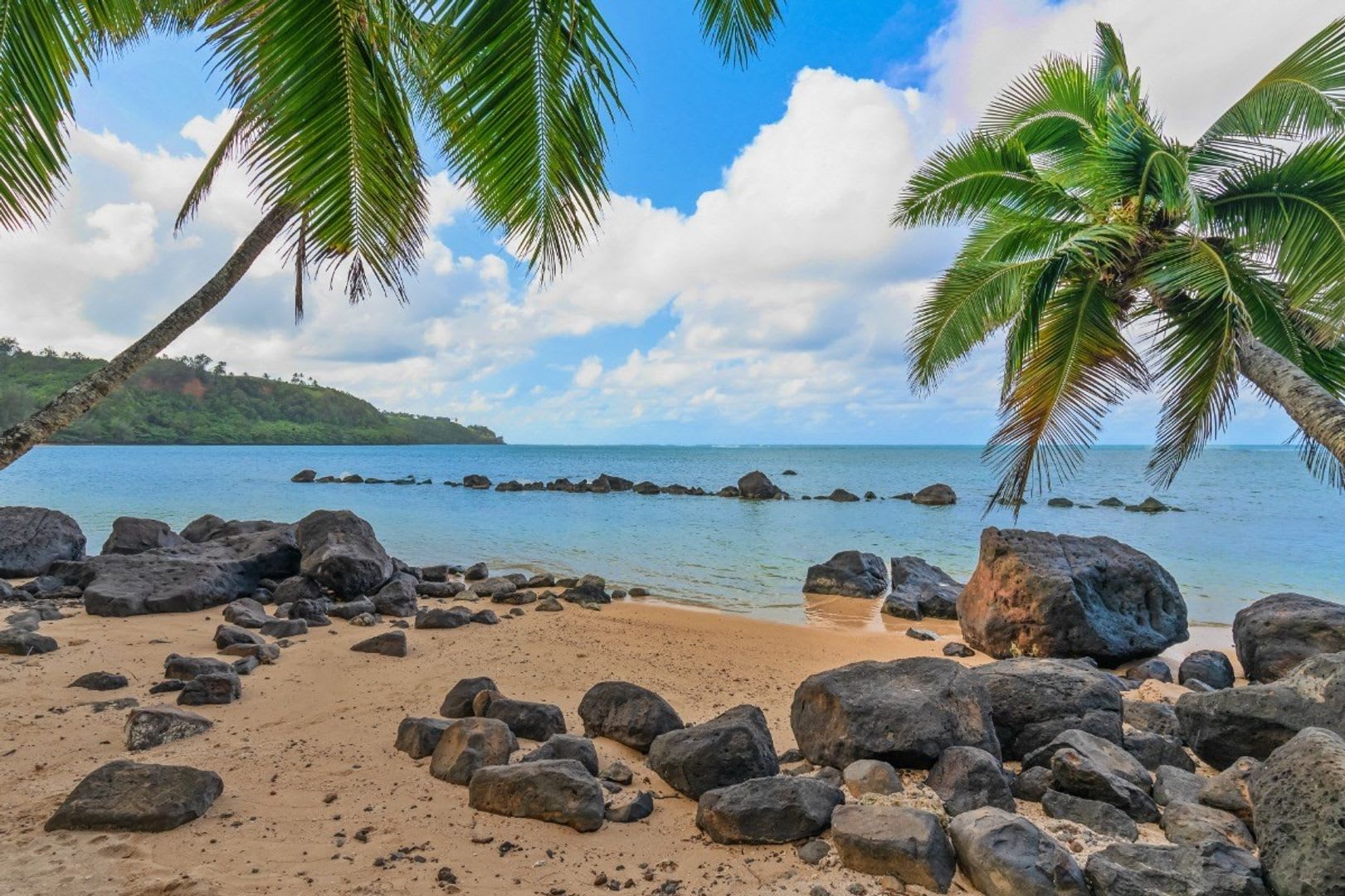 Furnished Anini Beach Front House 2 Bedrooms + Loft – photo 3