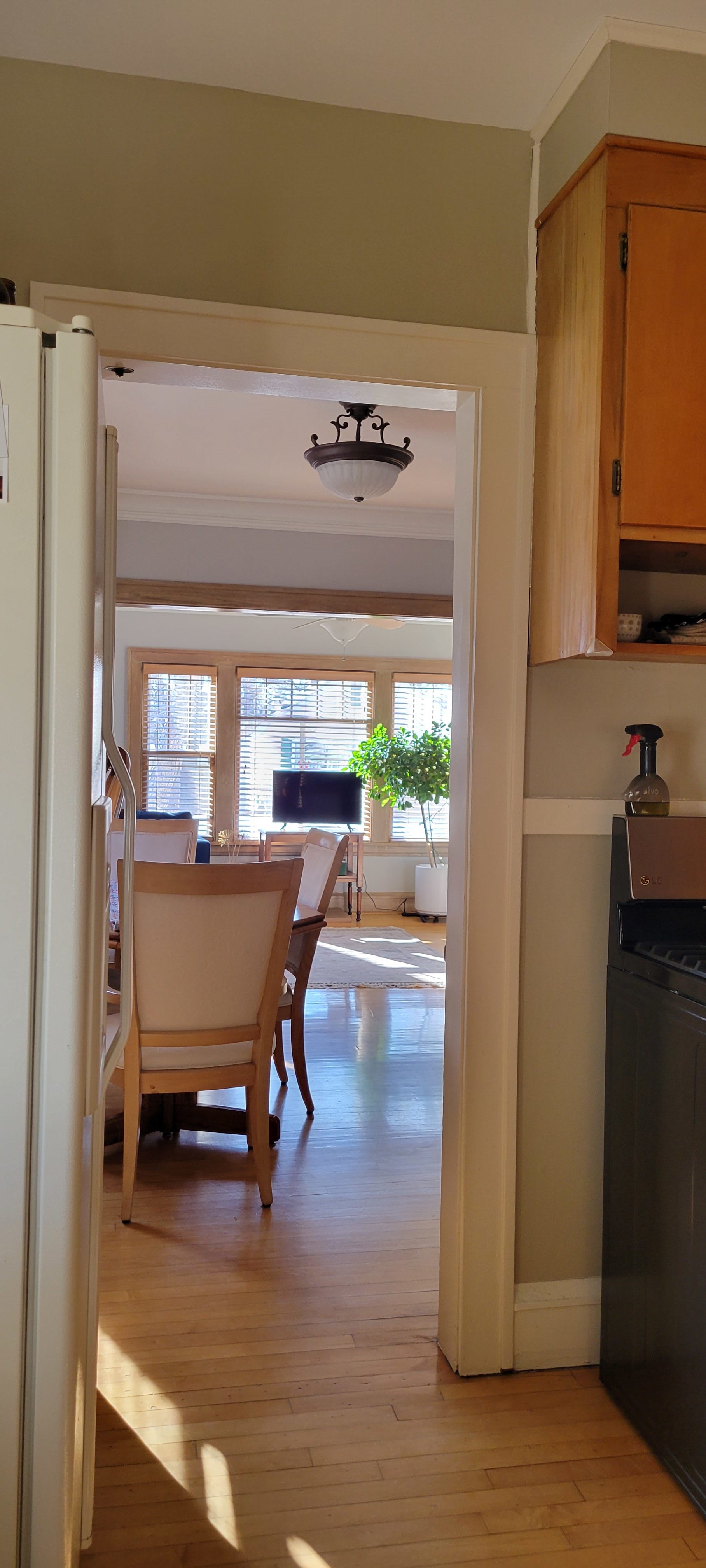 4409 Nokomis Avenue – photo 2