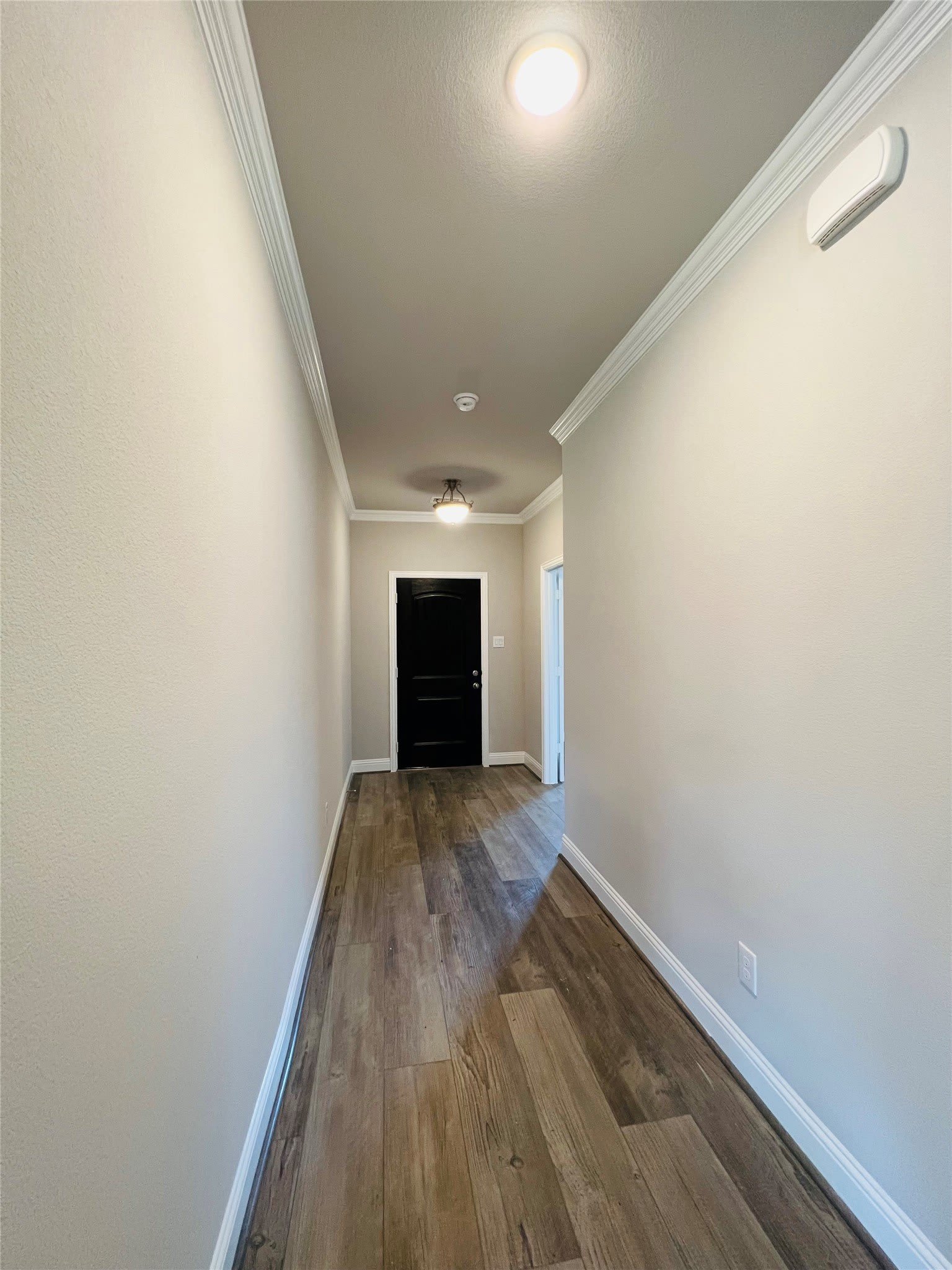 4003 Cottontail Drive – photo 3