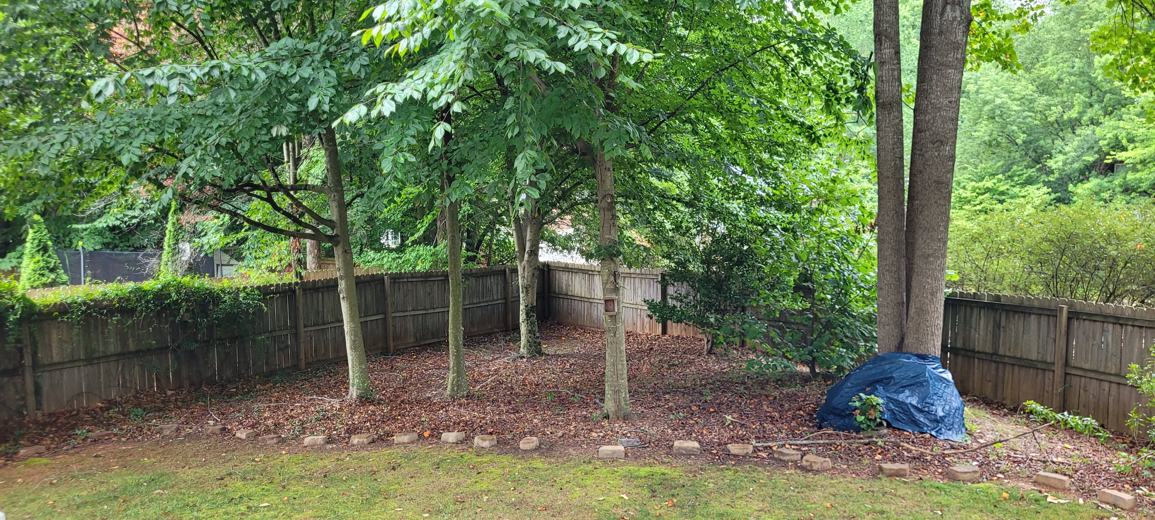 8 Holly Springs Ln – photo 2