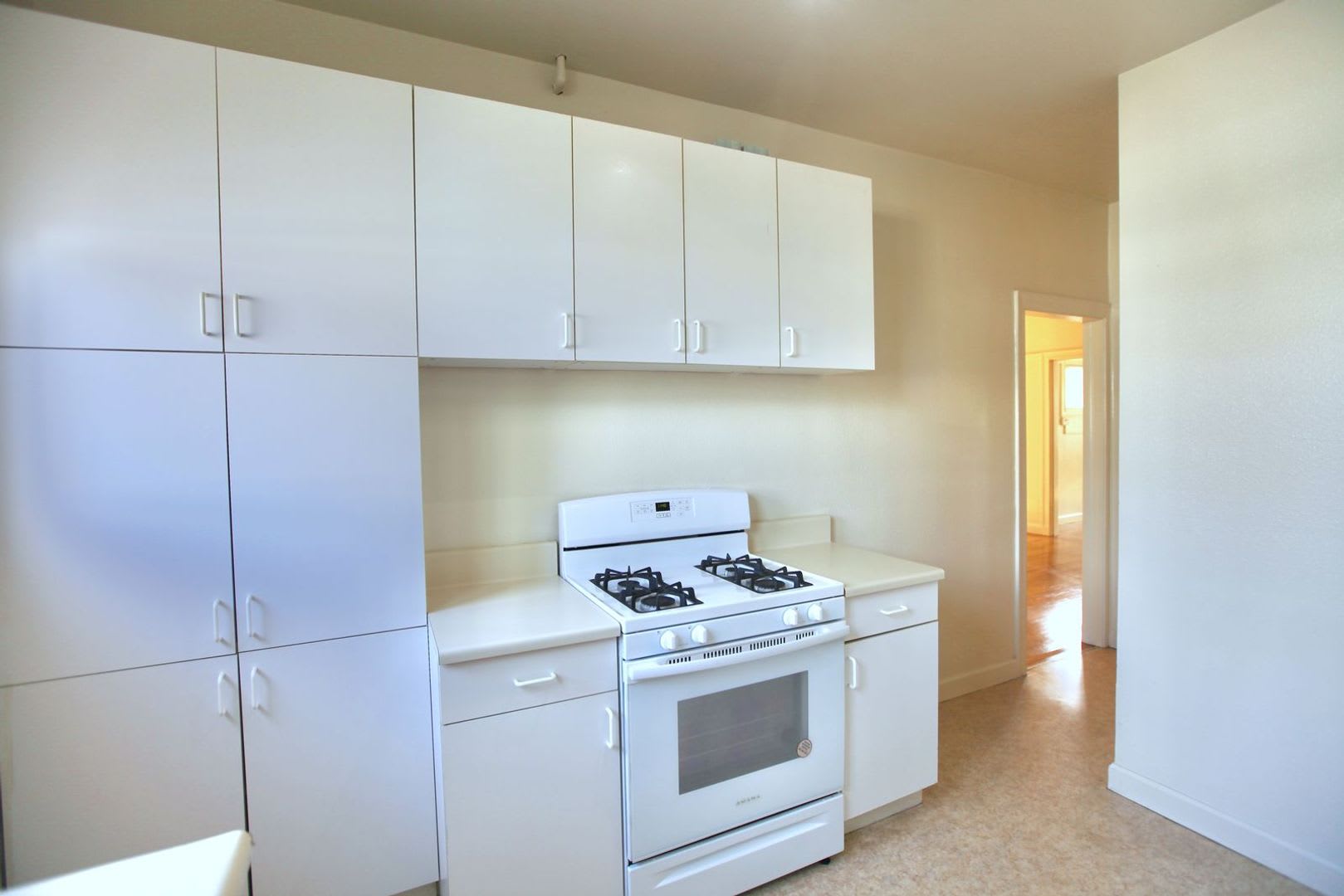 VERY LARGE 1 BEDROOM APARTMENT (HAS BEEN USED AS A 2 BEDROOM) – photo 5