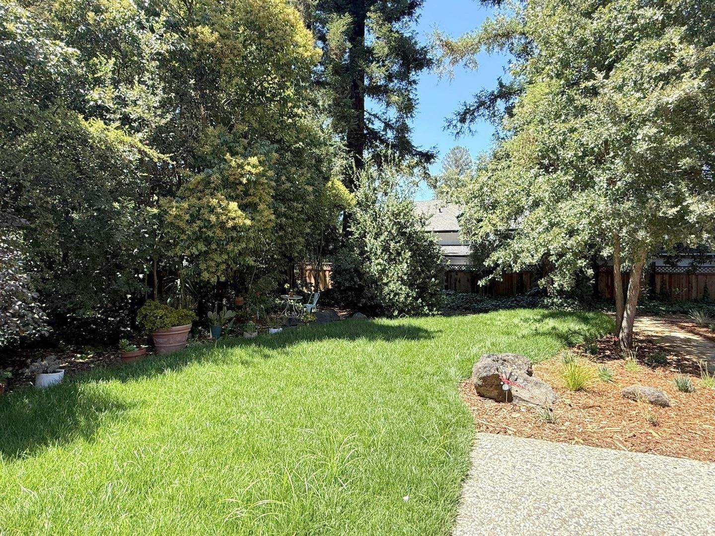 Remodeled one story home in highly desirable Alamo with huge park like yard! – photo 4
