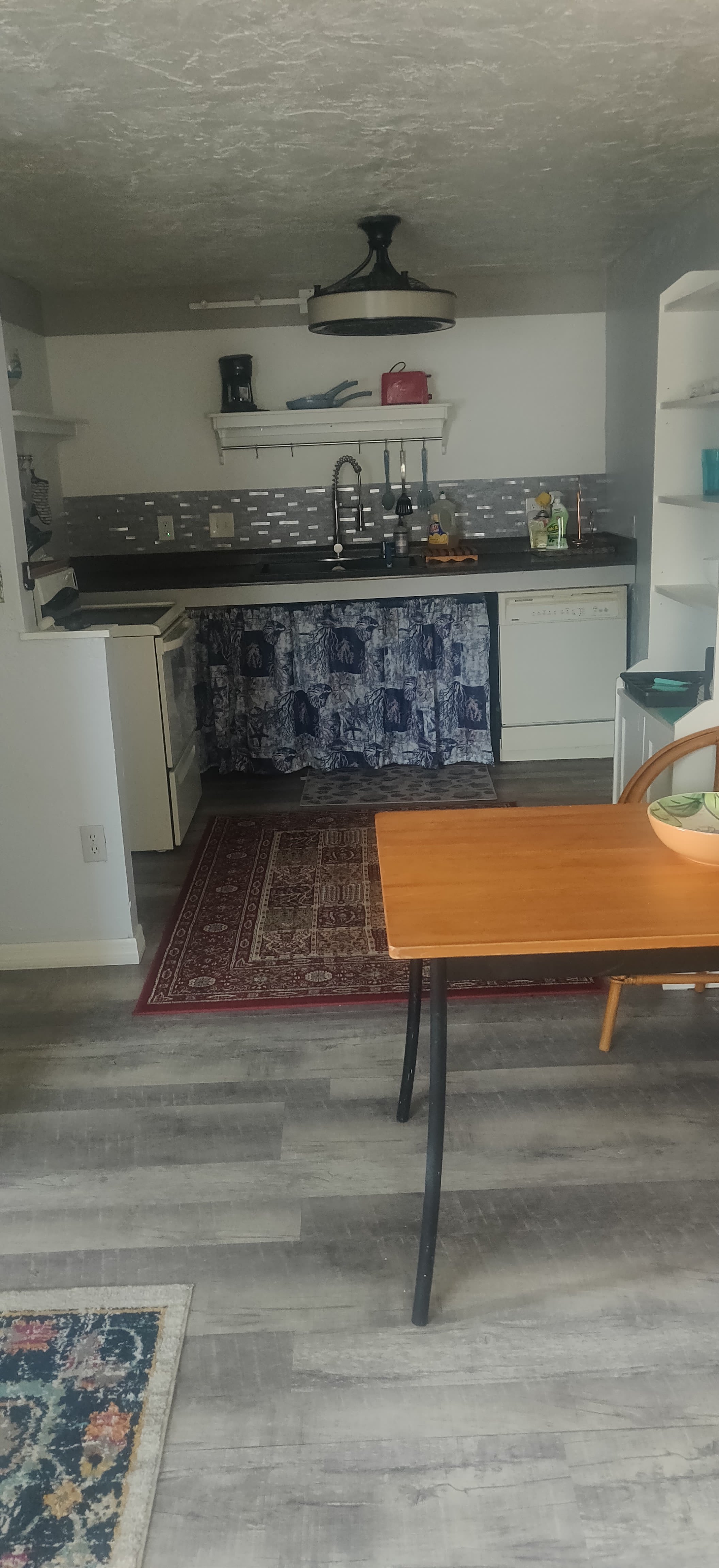 2705 South Atlantic Avenue – photo 4