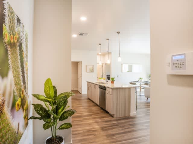 Acero Estrella Commons – photo 4