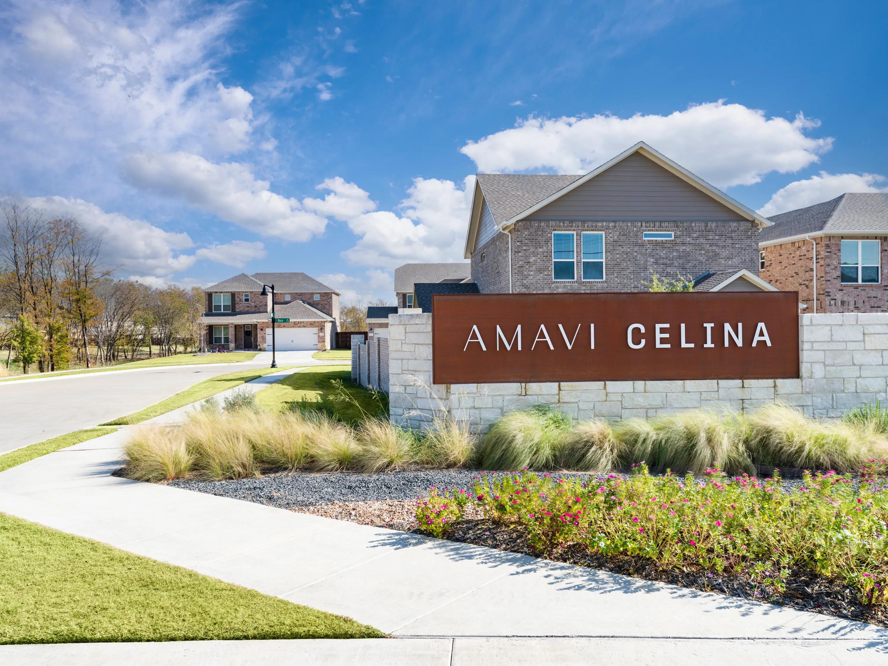Amavi Celina – photo 3