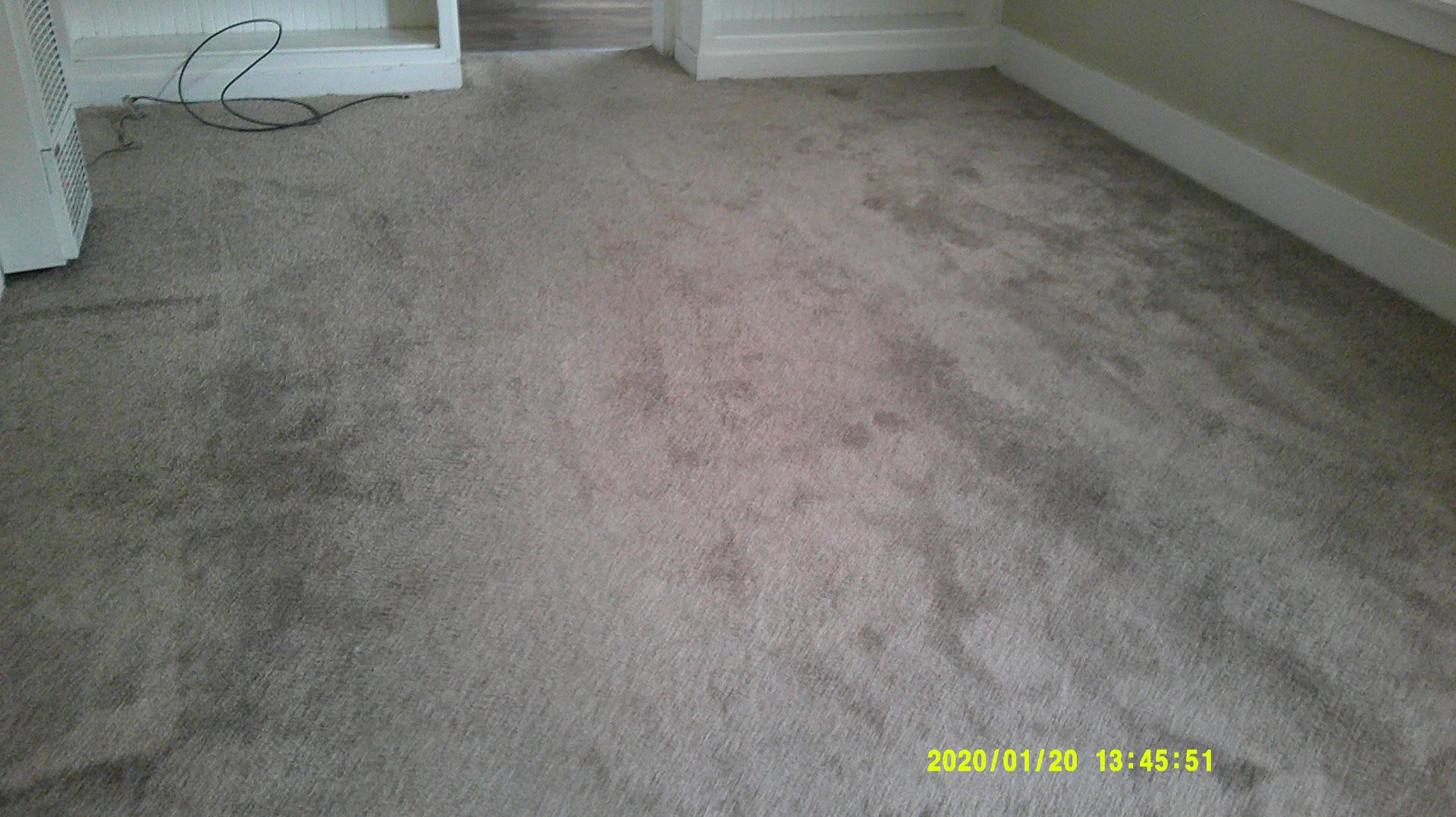 Walnut Ave – photo 4