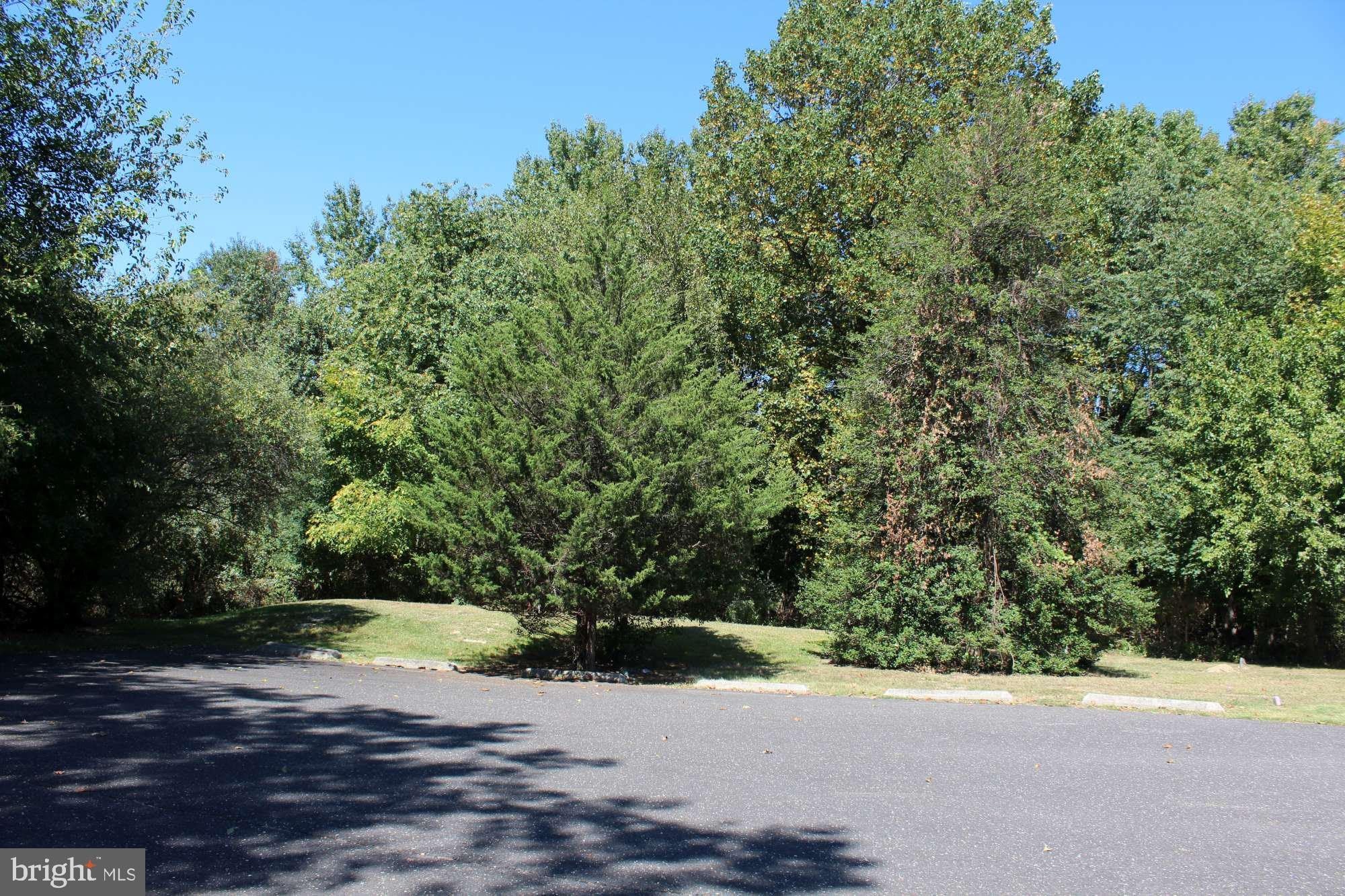 332 STOKES Road – photo 3