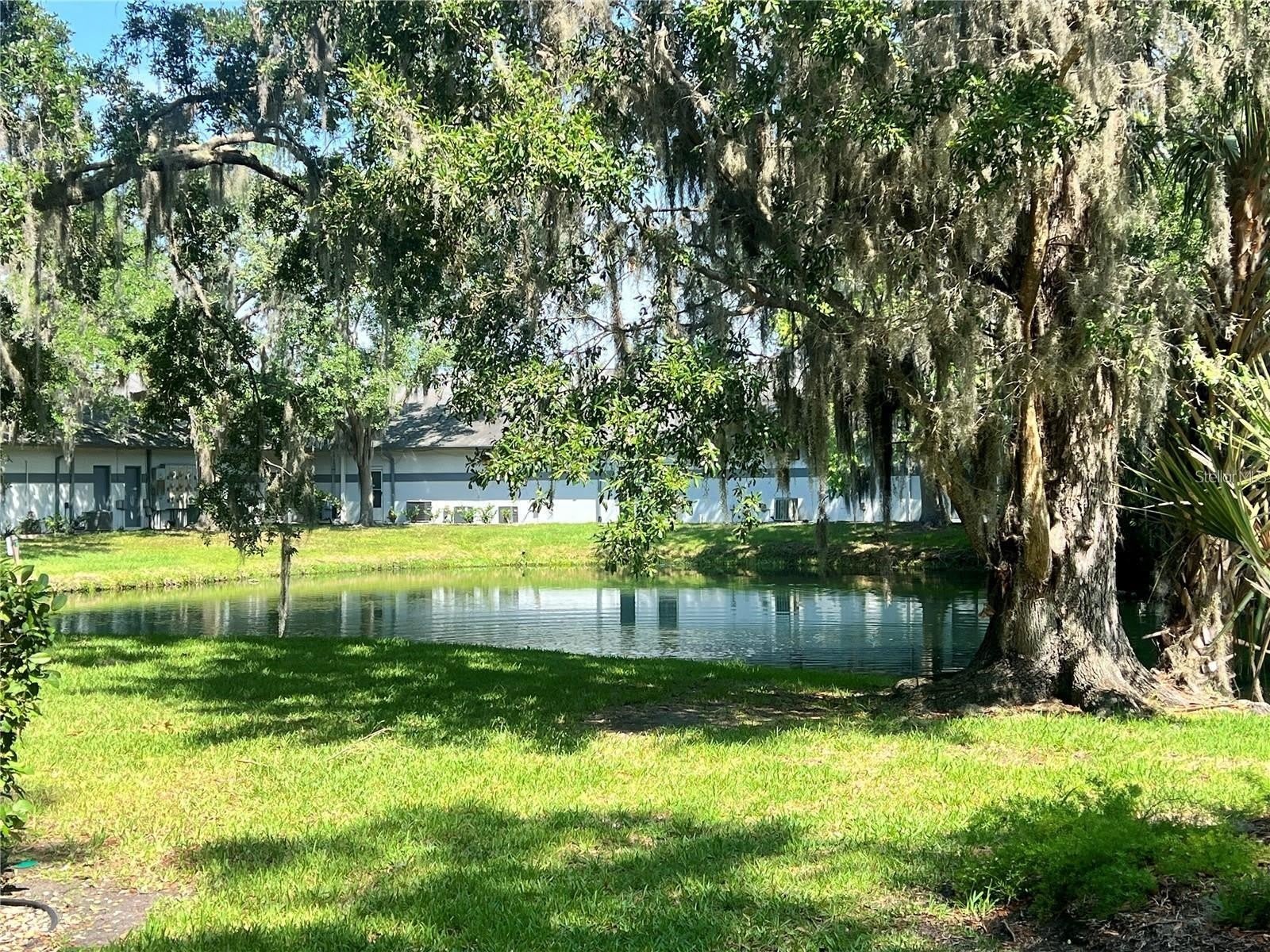 310 PALM COAST Parkway NE – photo 4