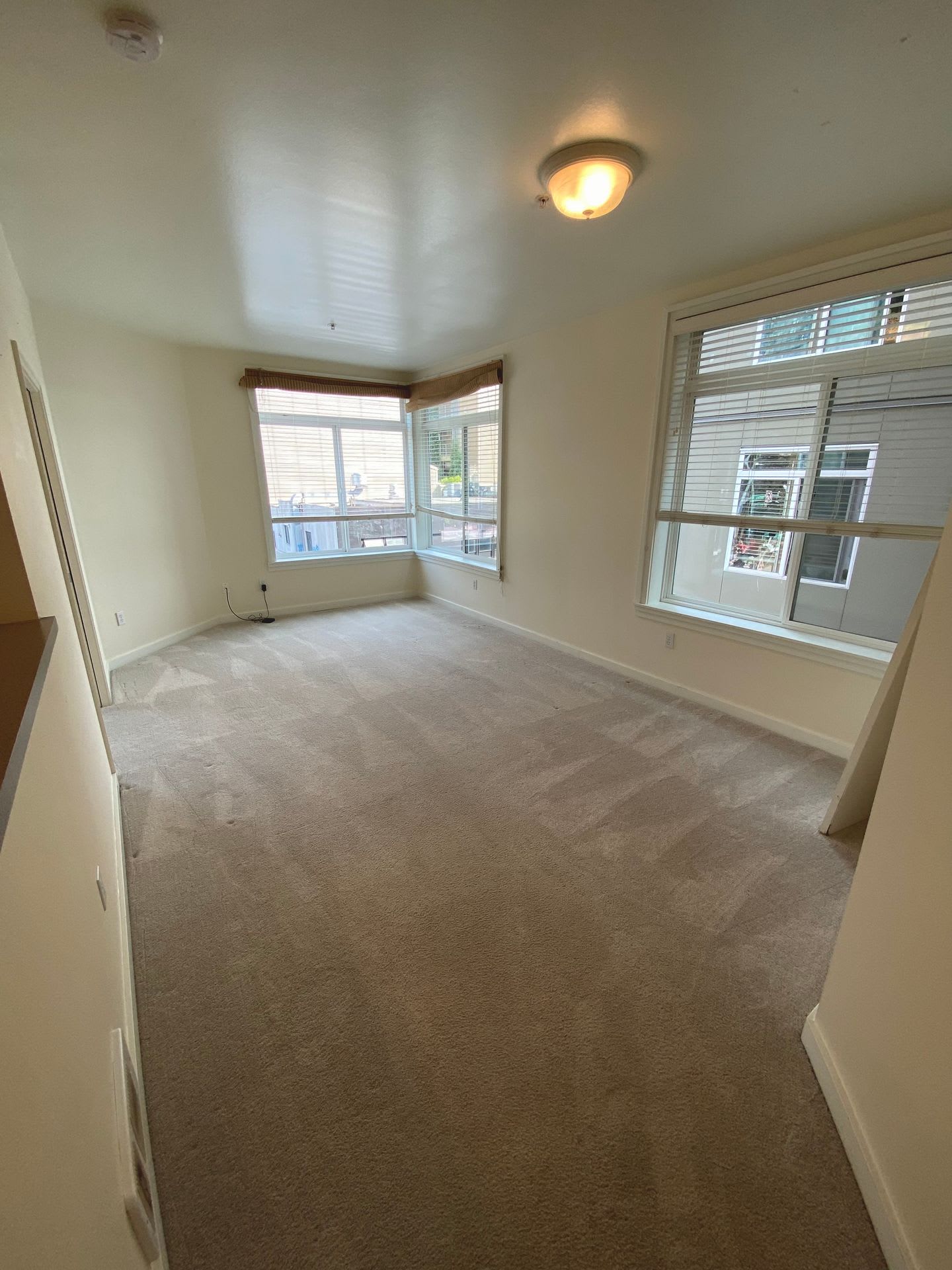 1Bd 1Ba Apartment In Belltown – photo 2