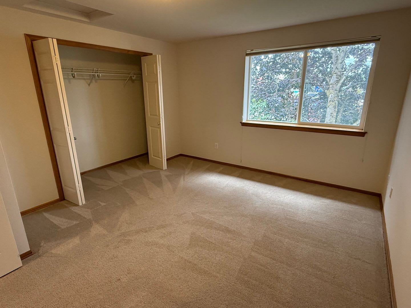 3 bed / 1.5 bath townhouse in Greenwood/ North Seattle! – photo 4