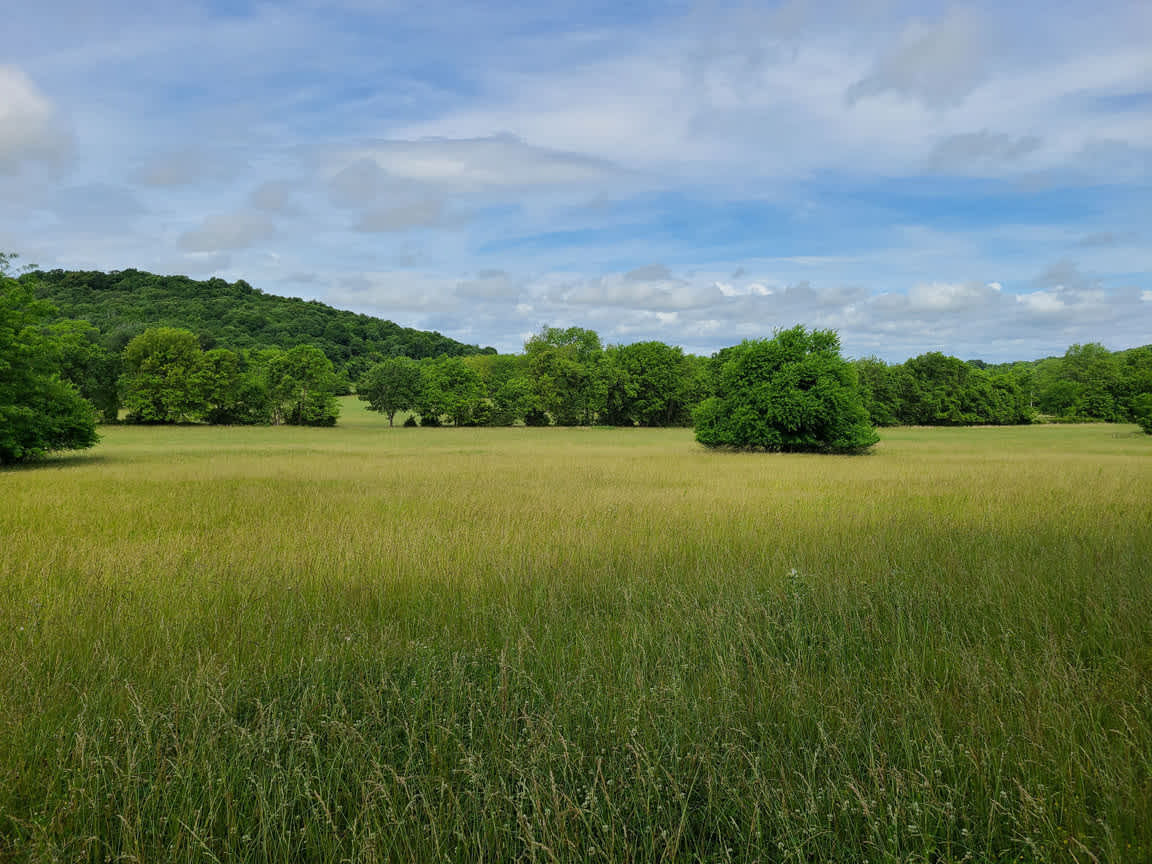 465851 Ok-51 – photo 5