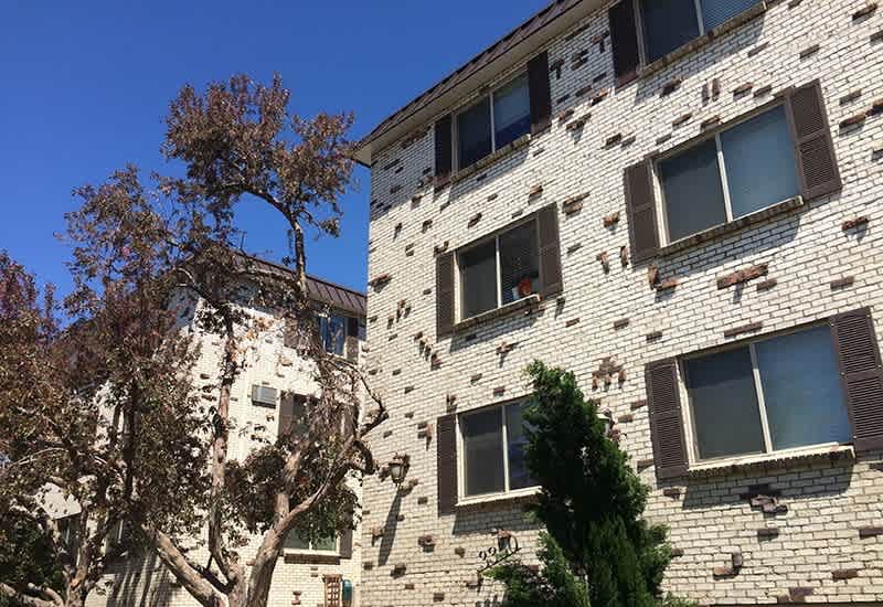 Woodmere – photo 5