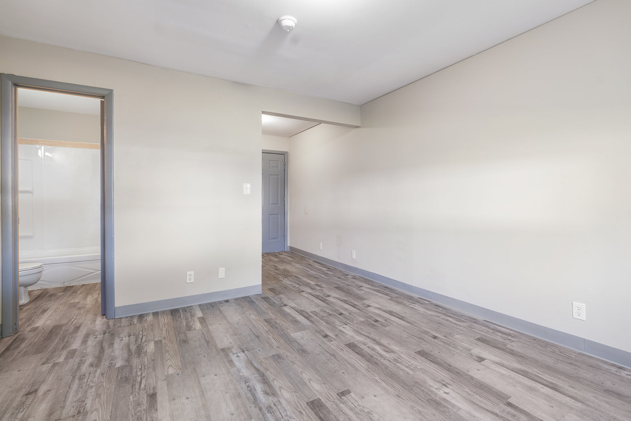 Saluki Apartments – photo 5
