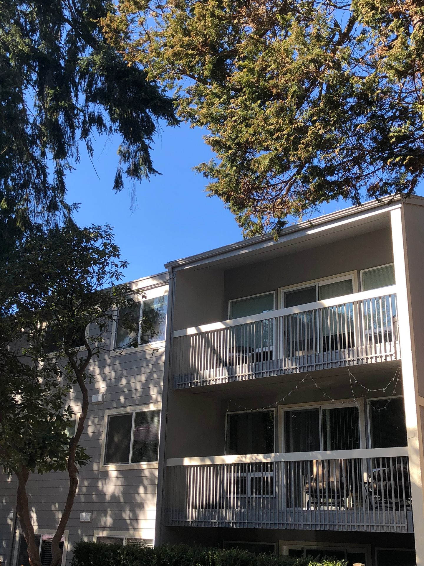 Twin Cedars Apartments – photo 5