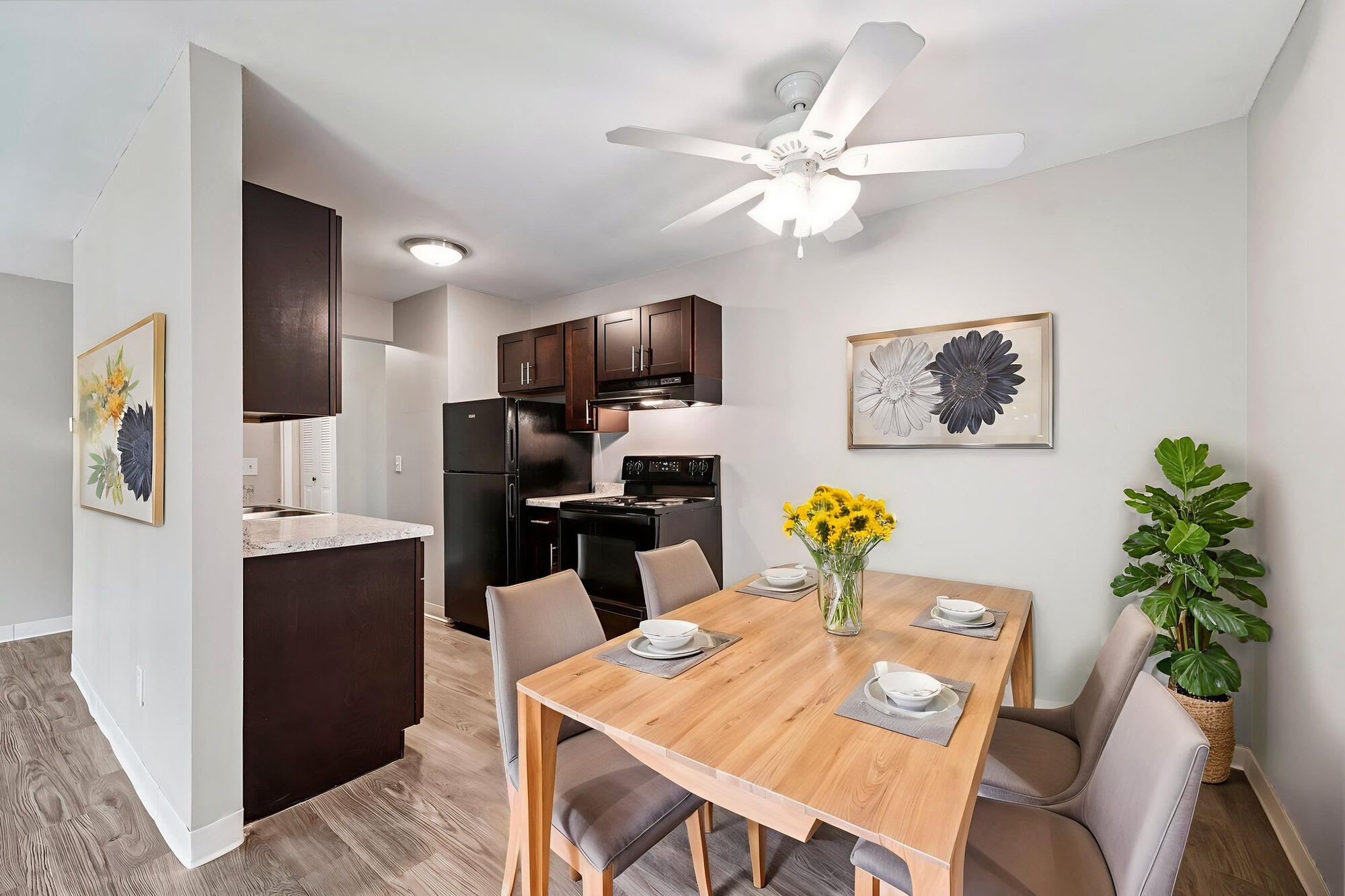 Windsor South Apartments – photo 4