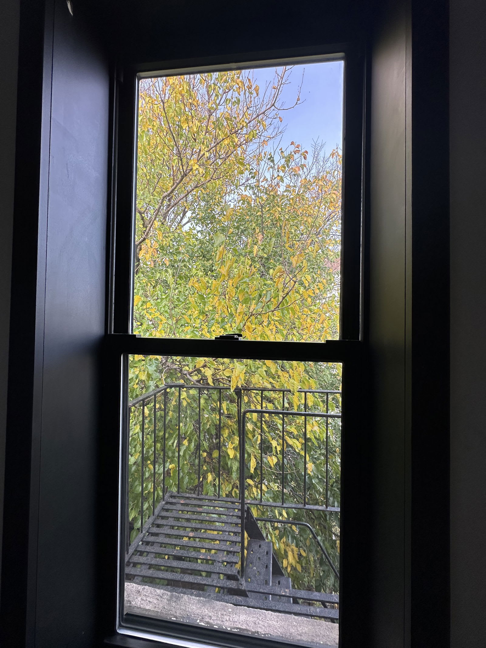 65 3rd Place – photo 2