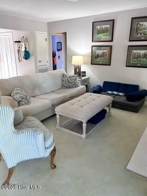 250 Sugar Gum Lane – photo 2