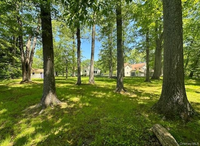 1055 Bruynswick Road – photo 5