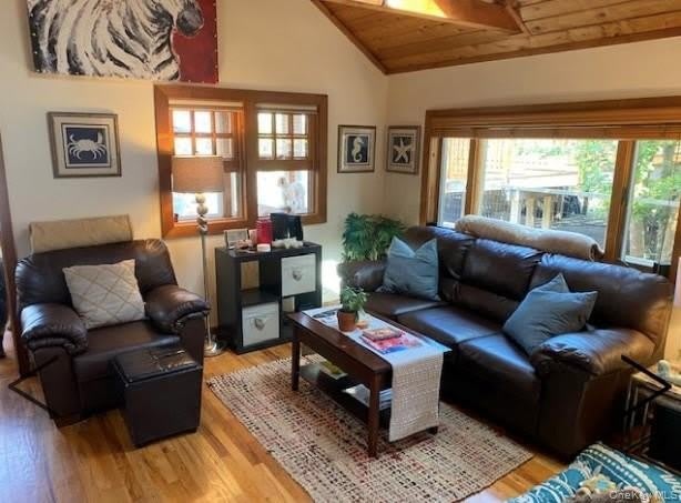 151 Ocean Road – photo 4