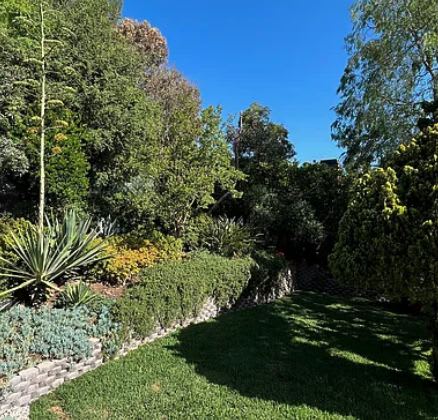 420 Tamarac Drive – photo 5
