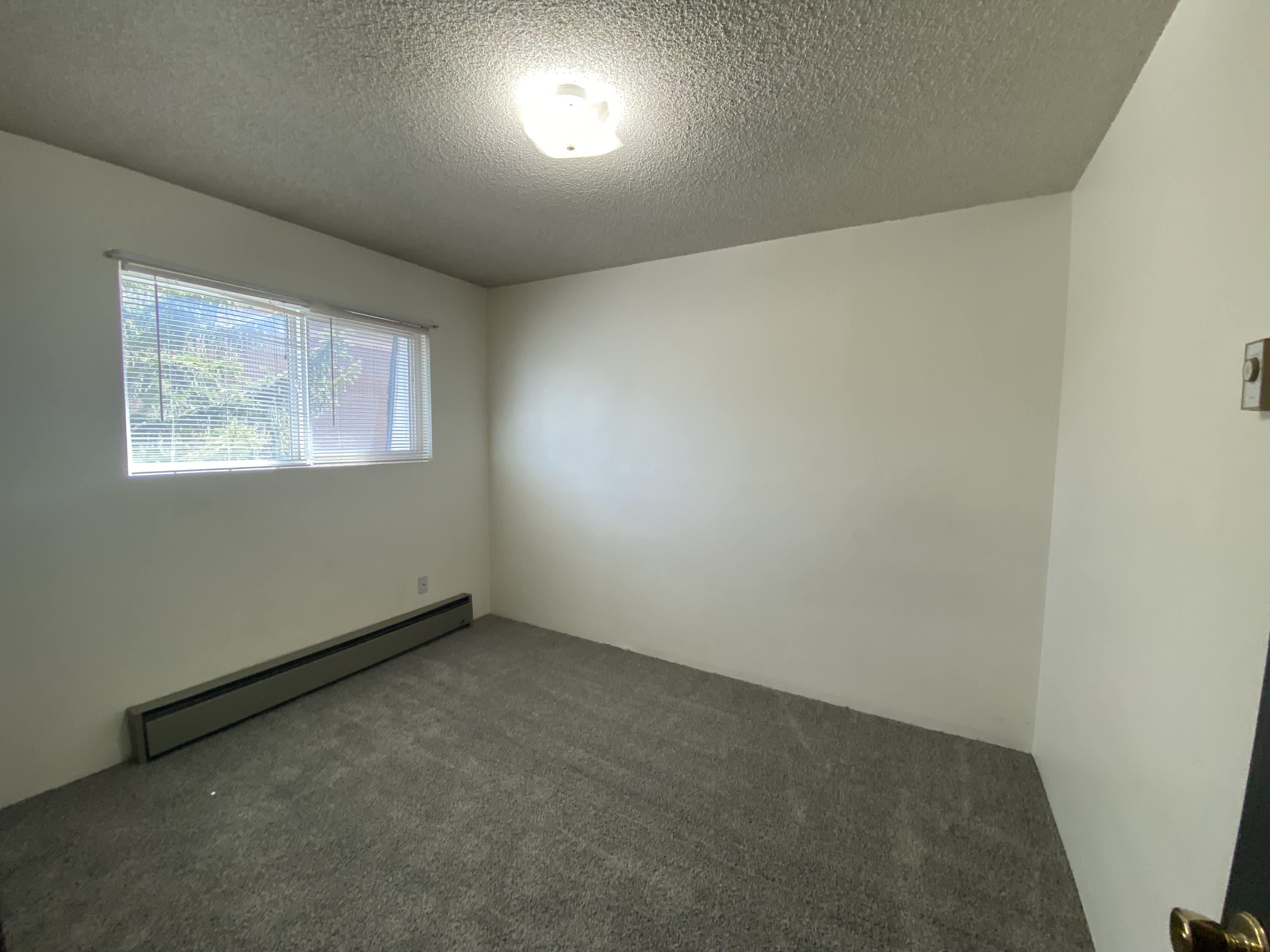 920 Elk Street – photo 3