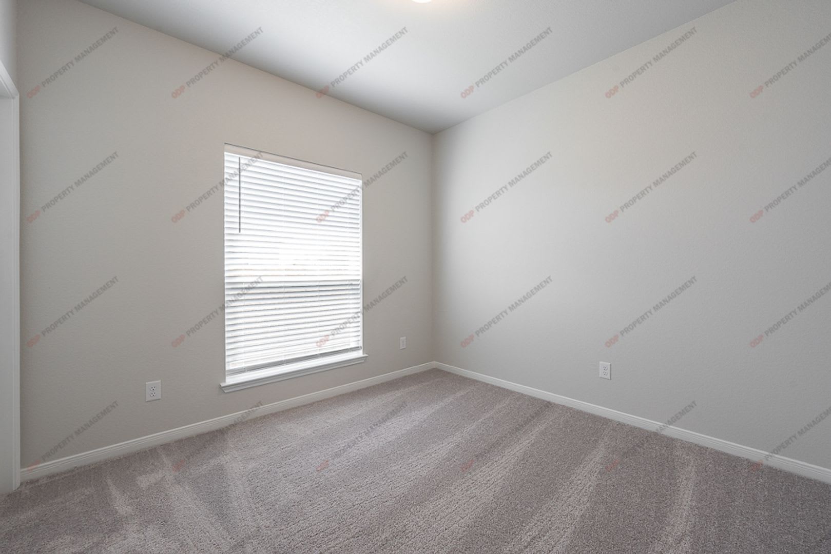 4 Bed 2 Bath Near Baylor Scott & White – photo 5
