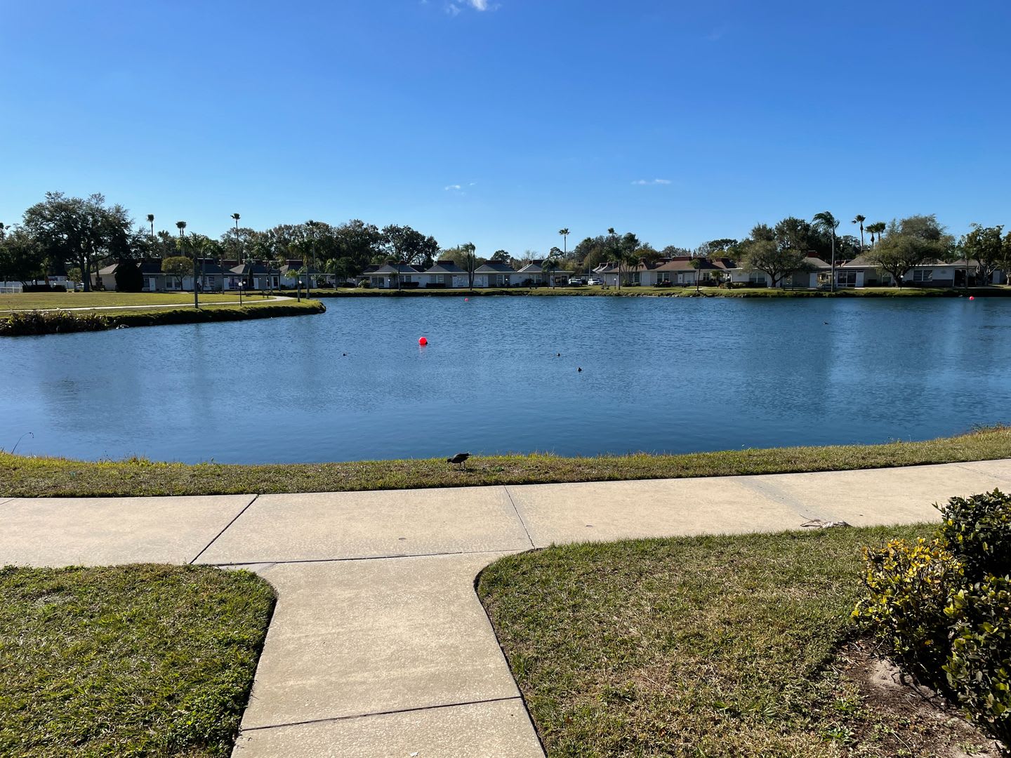 1 Bed 1 Bath Furnished Condo With Lake View Utilities In Tahitian Gardens A 55 Community – photo 2