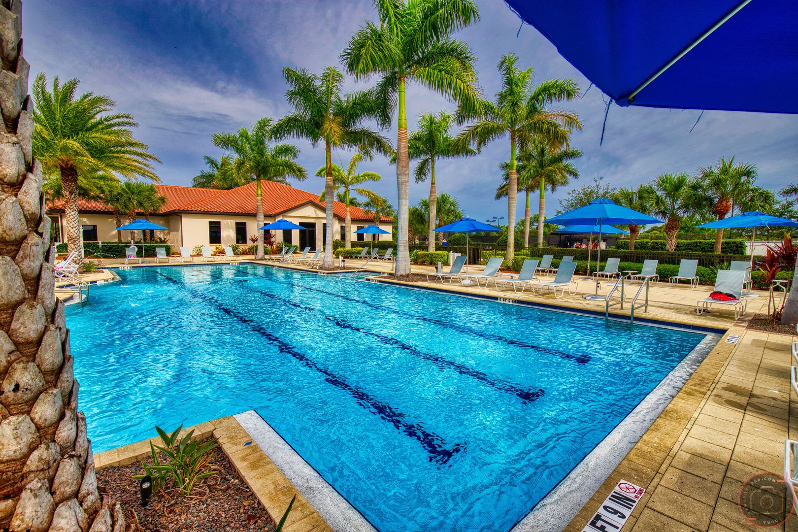 Seasonal Short Term Sought After Sarasota National Social Membership With Resort Like Amenities – photo 3