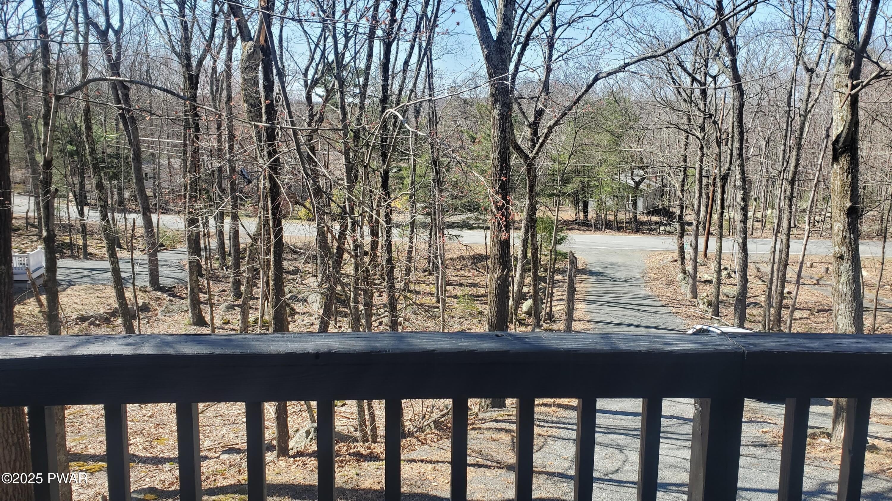 313 Forest Drive – photo 3