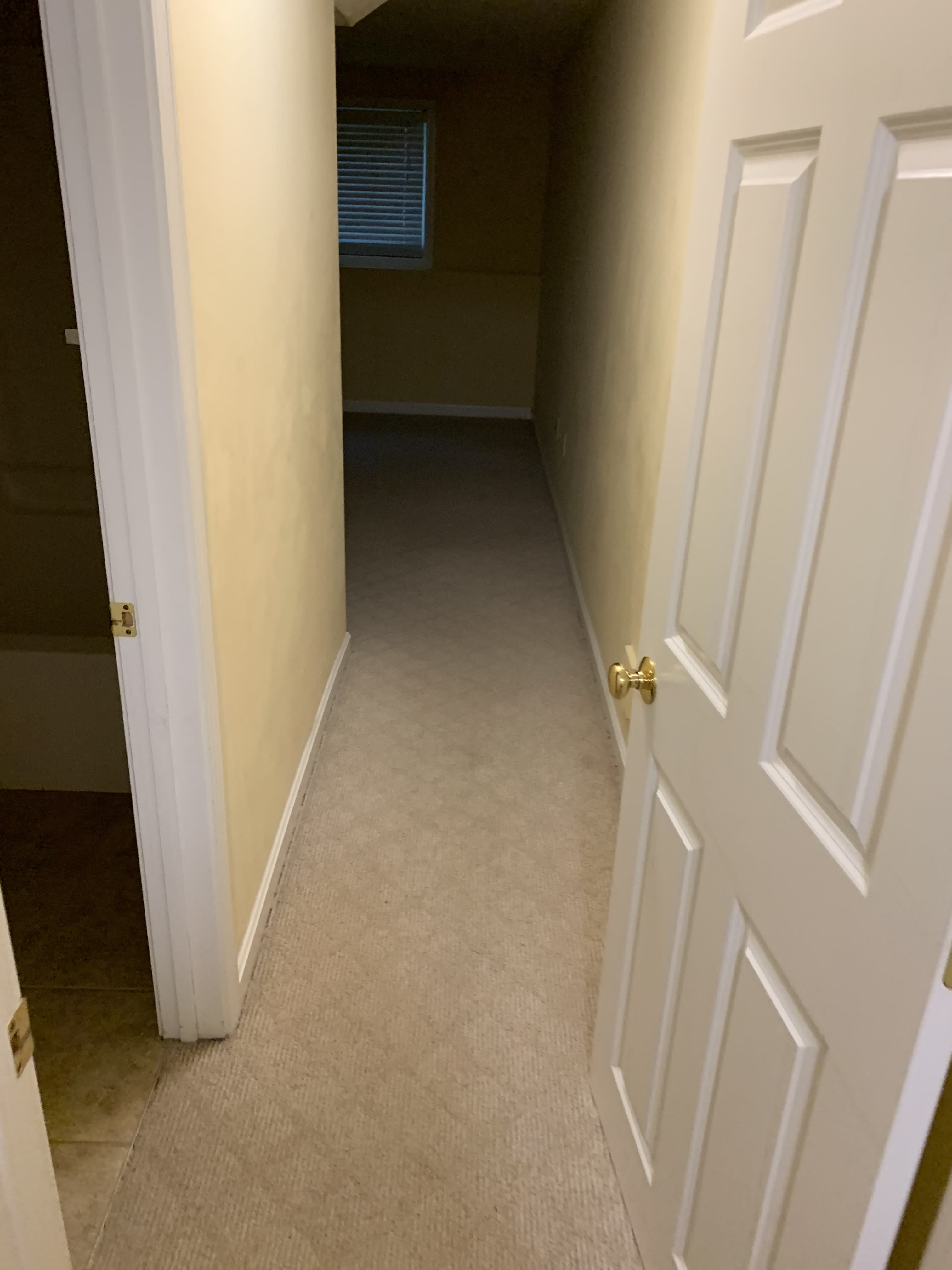 12 Lilac Lane – photo 5