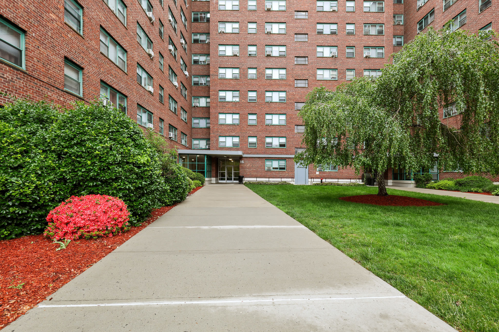 161 Augusta St – photo 5