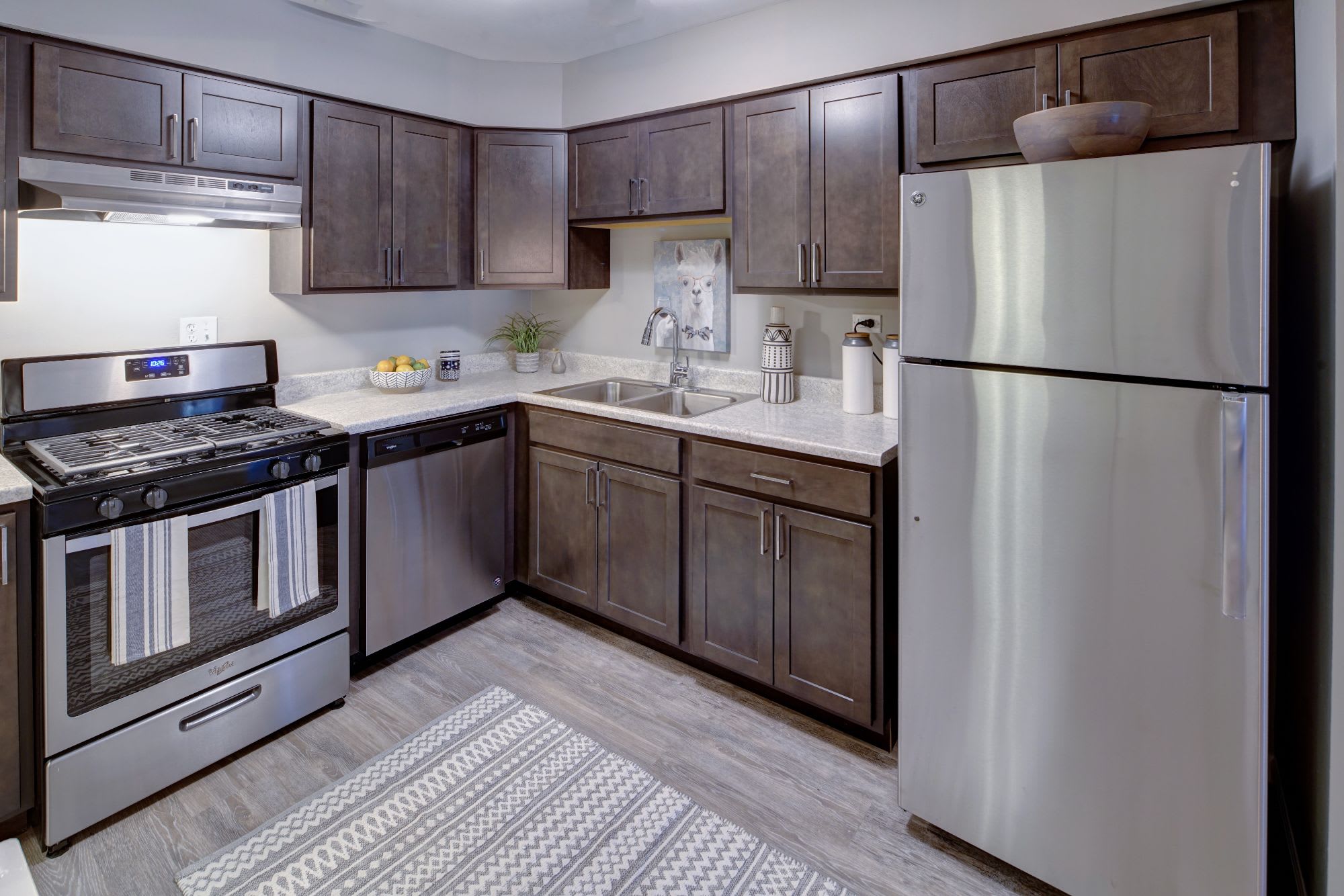 Carol Stream Crossing – photo 2