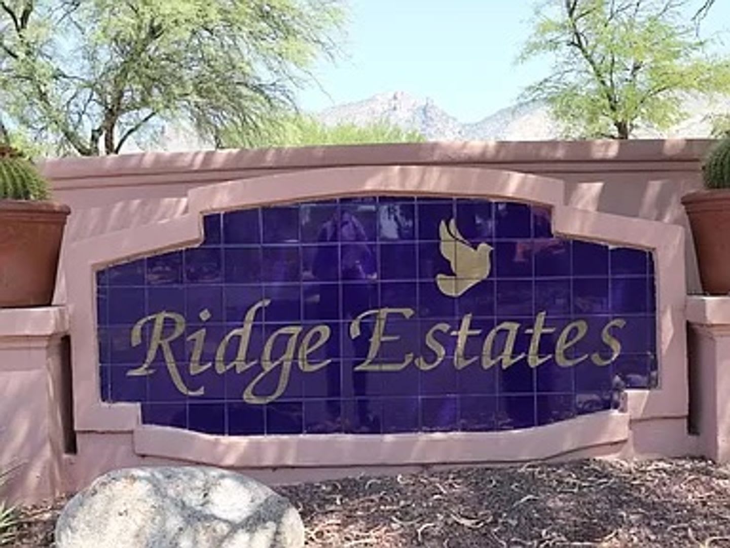 Available! Beautiful 4 Bedroom Home in Guard-Gated La Paloma Ridge Estates – photo 2