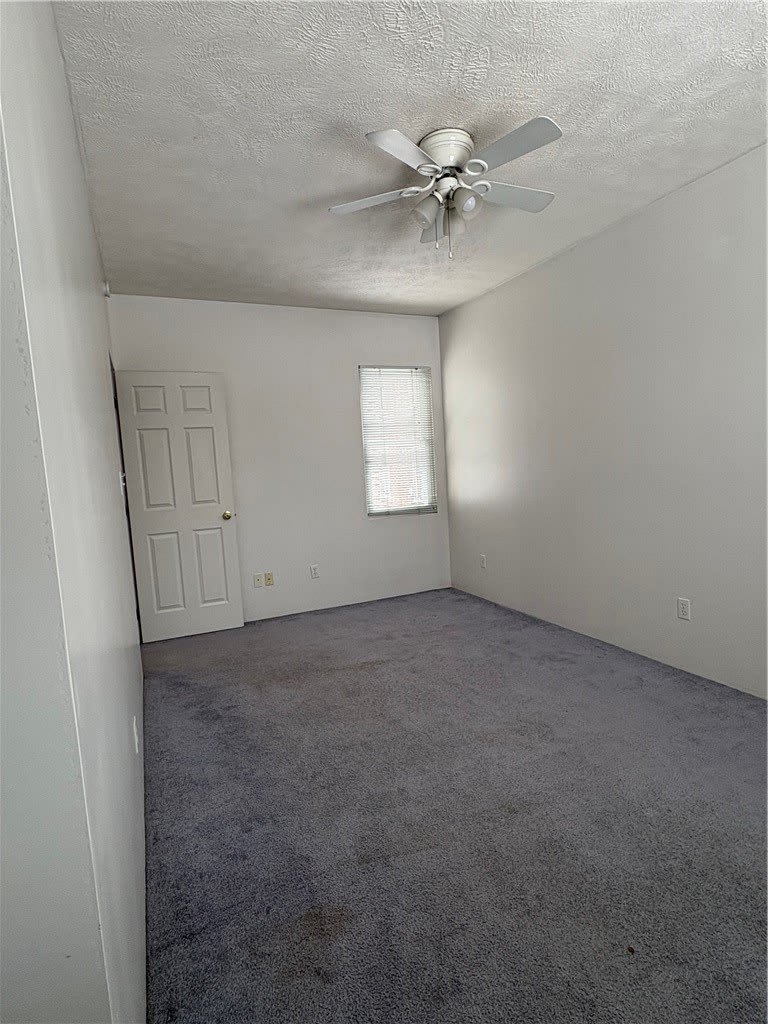 320 Normal Ave – photo 5