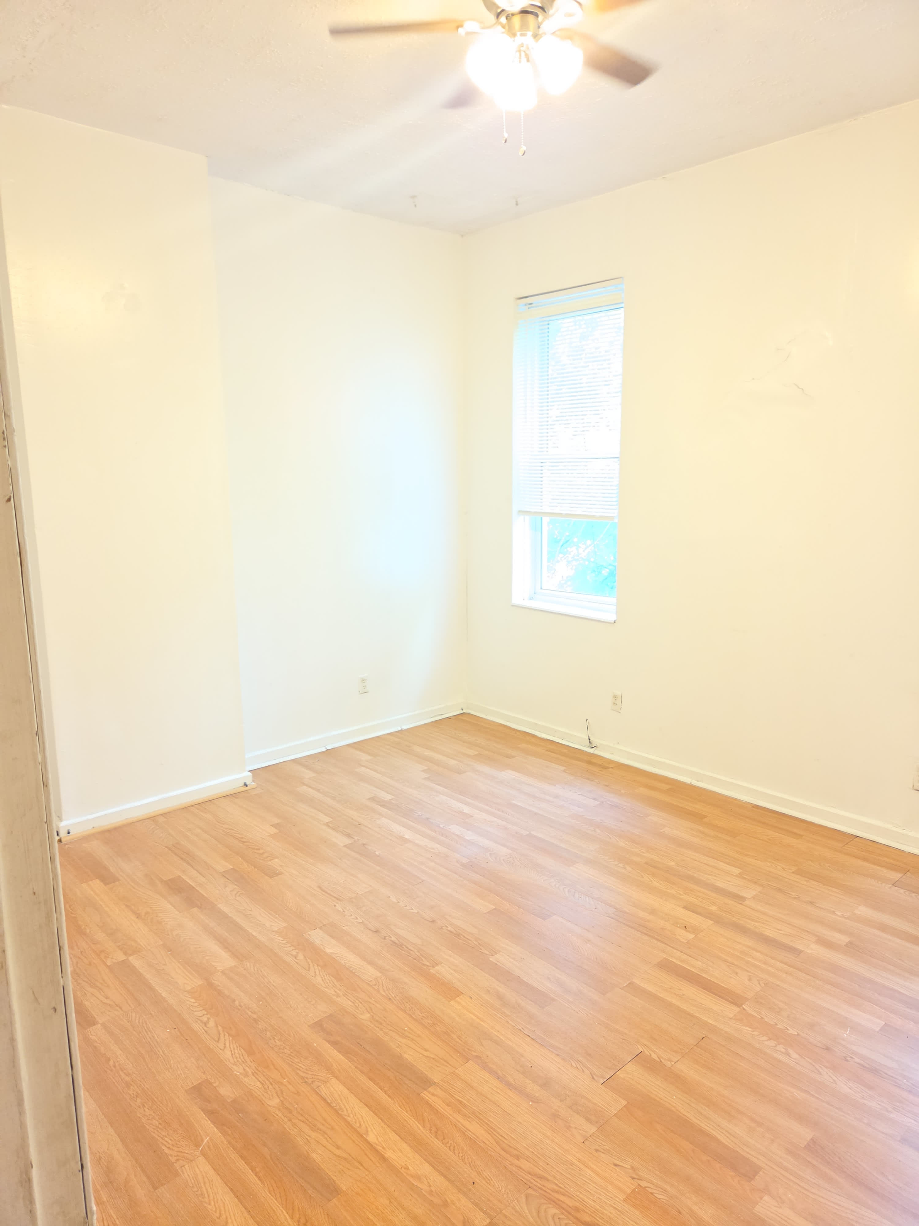 2102 Chippewa St – photo 3